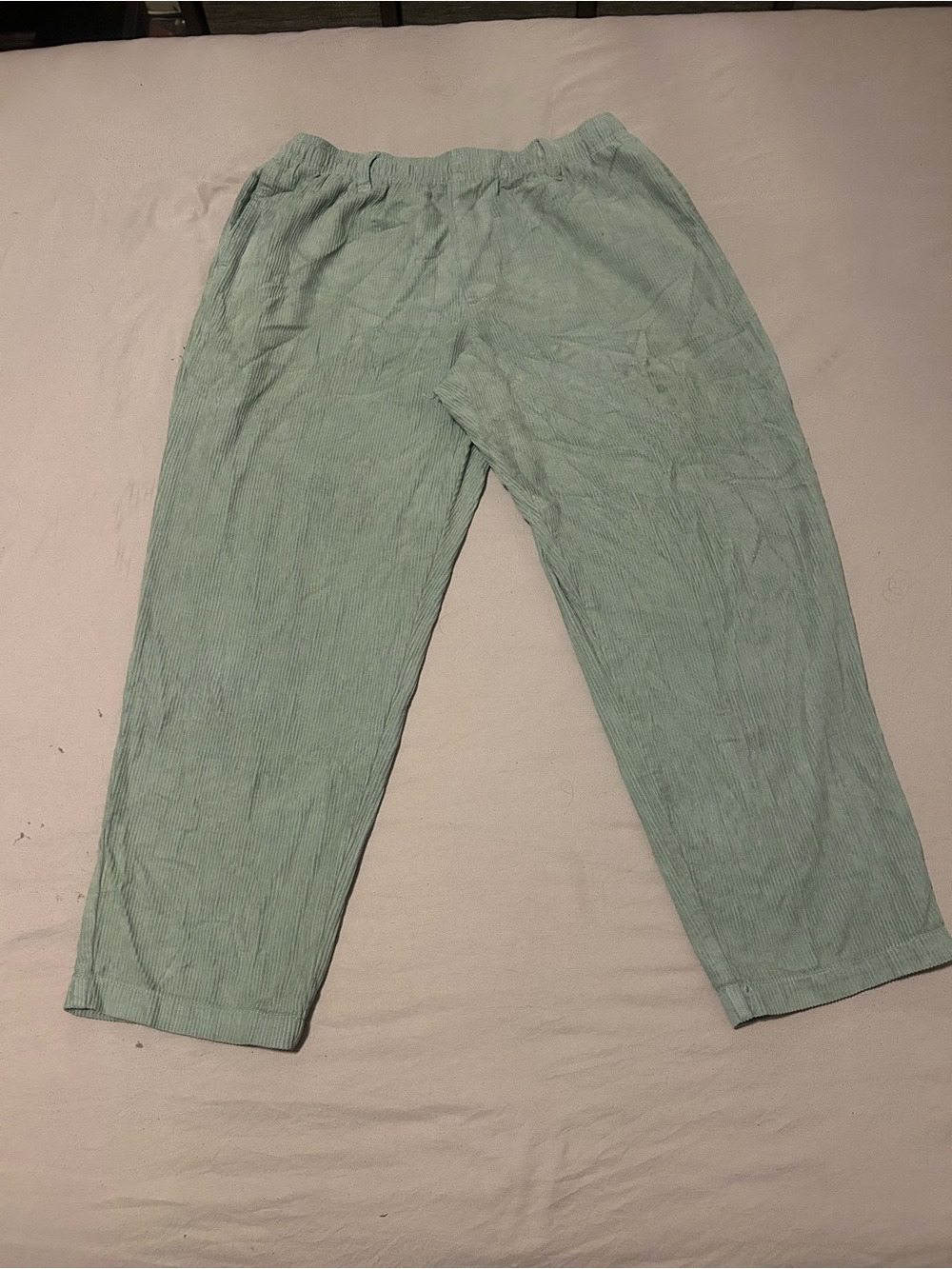 Urban Outfitters Mint Green Wide-Leg Corduroy Pants